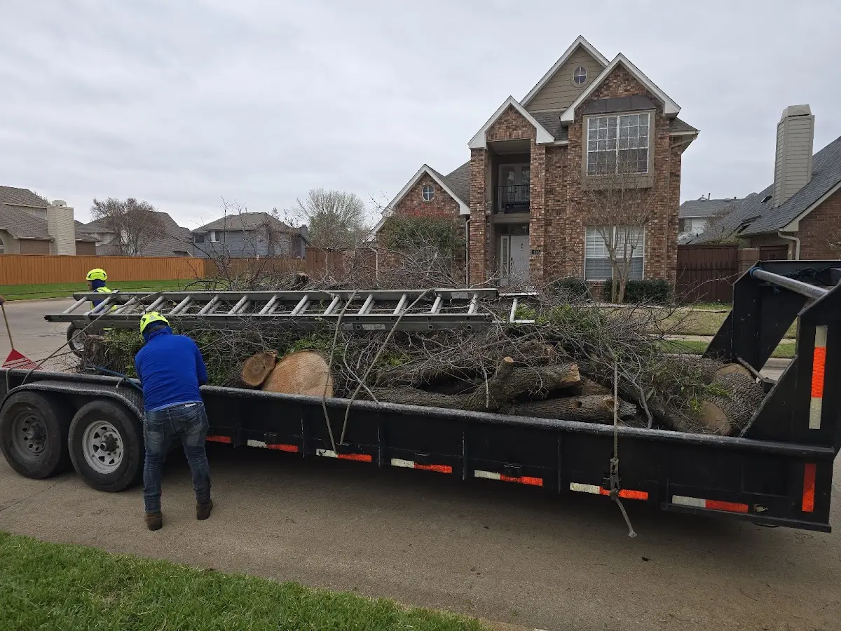 Expert Crown Reduction with proper safety equipment in Manzanita